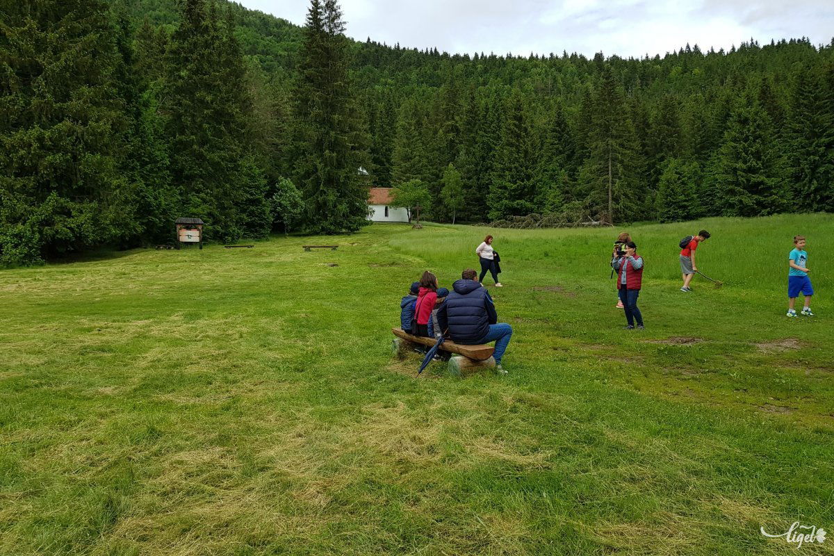 A kápolna felé: tiszta és rendezett a környék, kaszálnak és takarítanak •  Fotó: Rédai Attila