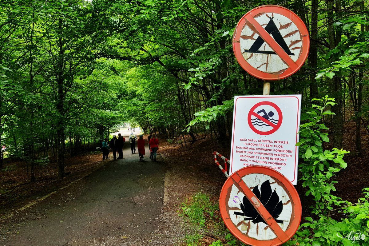 Sem piknik, sem fürdőzés, sem sütögetés: ilyen élményekre itt többé ne számítsunk •  Fotó: Rédai Attila