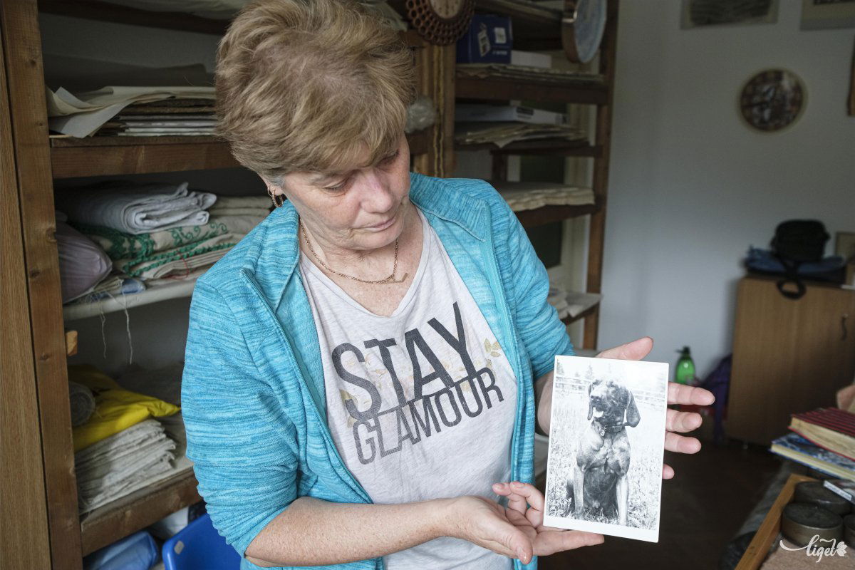 Nagyapja legendásan okos kutyáját
mutatja Pongrácz-Vákár Katalin •  Fotó: Veres Nándor