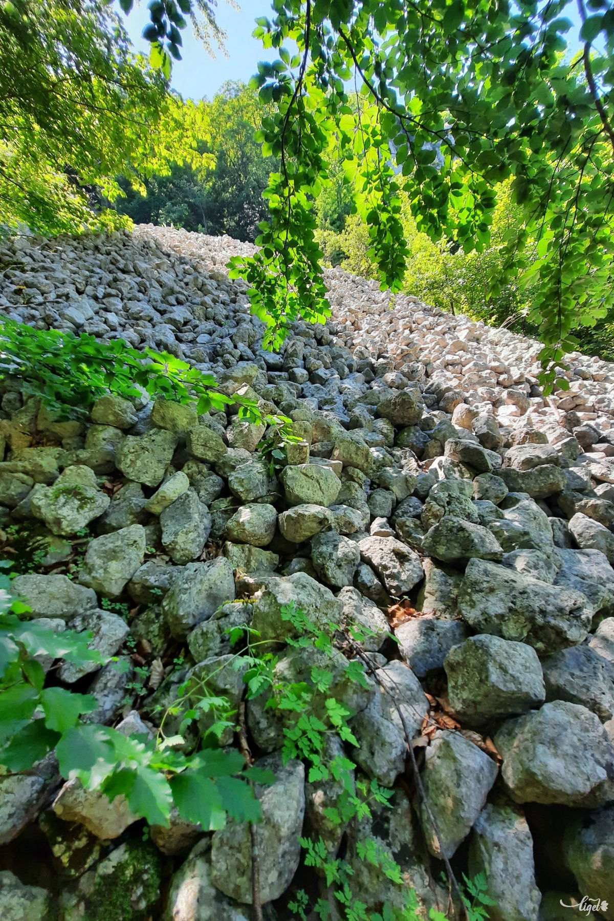 Az ilyen kőgörgeteget látva nem csoda, ha mesék és legendák jutnak eszünkbe •  Fotó: Rédai Attila
