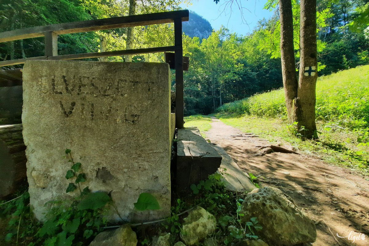 Na de miért pont elveszett világ? •  Fotó: Rédai Attila