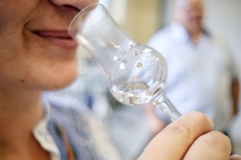 A jó pálinkának nincsen párja: kezdődik a benevezés az erdélyi párlatversenyre