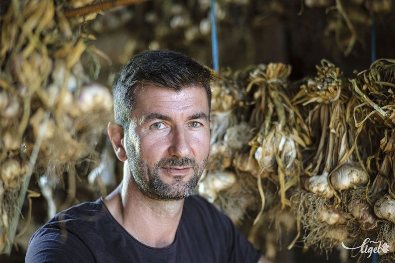 Bilibók Róbert csíkszentléleki kertészmérnök •  Fotó: Veres Nándor