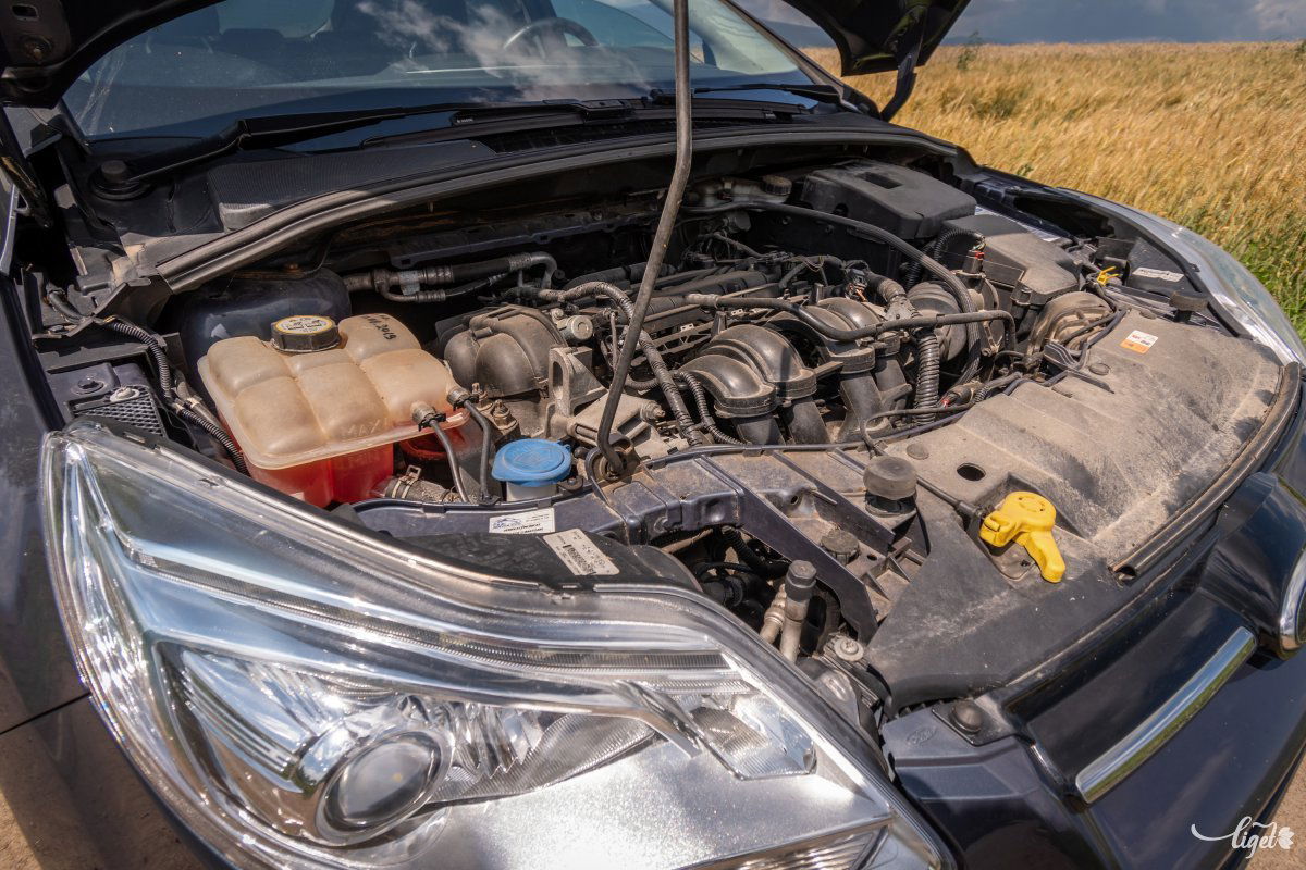 Végtelenül megbízható az 1,6 literes, egyszerű szívó benzinmotor •  Fotó: Pinti Attila