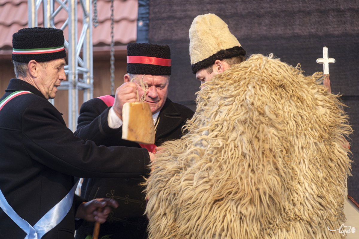 •  Fotó: Veres Nándor