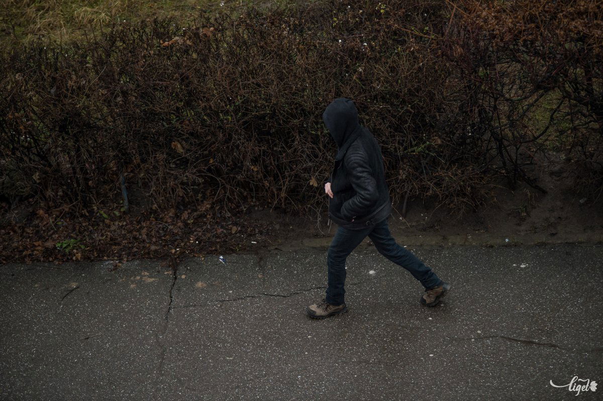 Sötét kilátások. Az úgynevezett legitimációs válság súlyos következményeket von maga után •  Fotó: Barabás Árpád