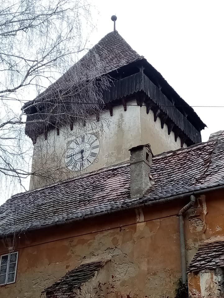 Nagykapus •  Fotó: Antal Erika