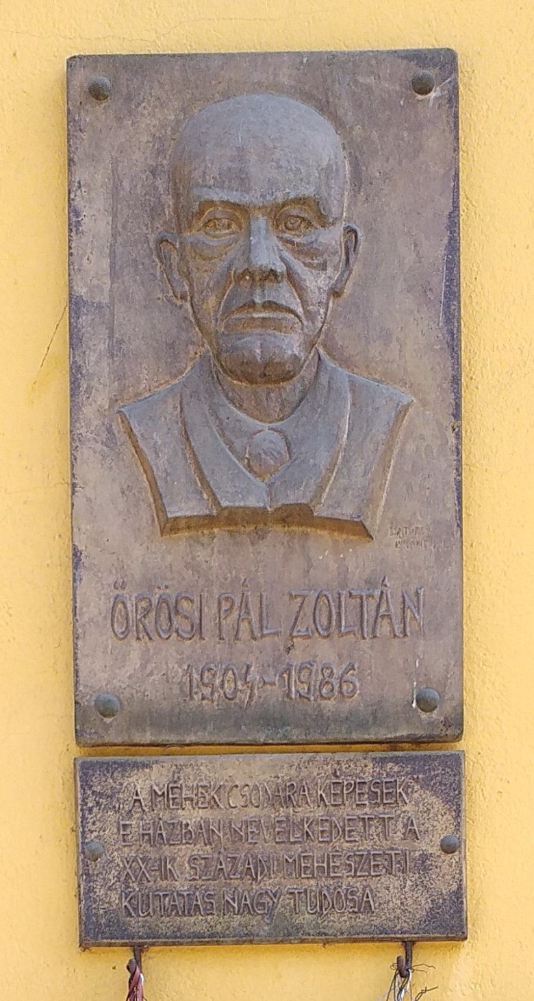 A domborműves emléktábla a Kossuth Lajos utca 15. szám alatti házon •  Fotó: Katona Zoltán
