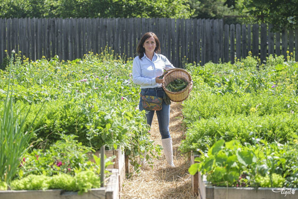 fermentálás, zöldség, gyümölcs, tartósítás, zöld, Kurkó Stefánia, zöld, konyha