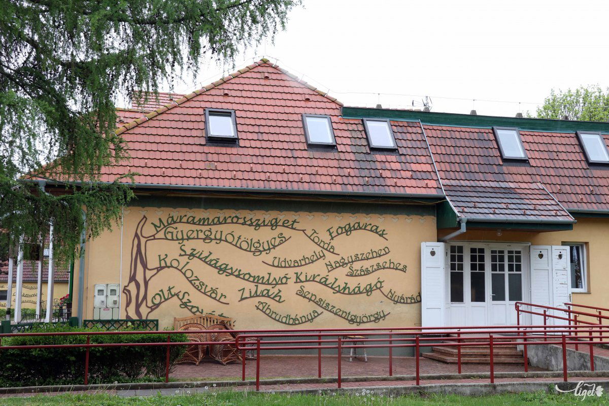 •  Fotó: Zádor Péter