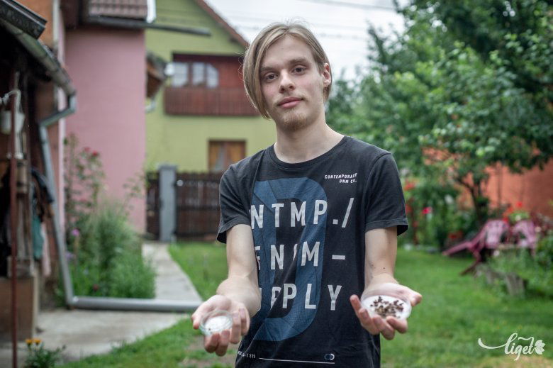 Antal Balázs csíkdánfalvi udvarukon •  Fotó: Pinti Attila