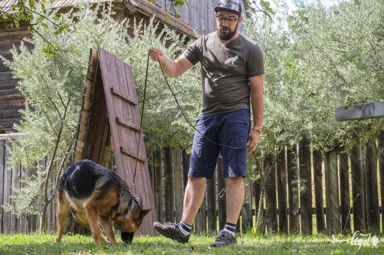 Német juhász kutyákat tenyészt és képez ki Sebestyén Hunor. •  Fotó: Veres Nándor