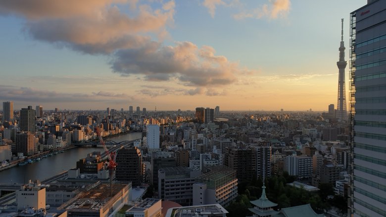 Kilátás Tokióra. Sokáig csak az ablakból vagy tömegközlekedési eszközökből látták a japán fővárost •  Fotó: Kádár Zoltán archívuma