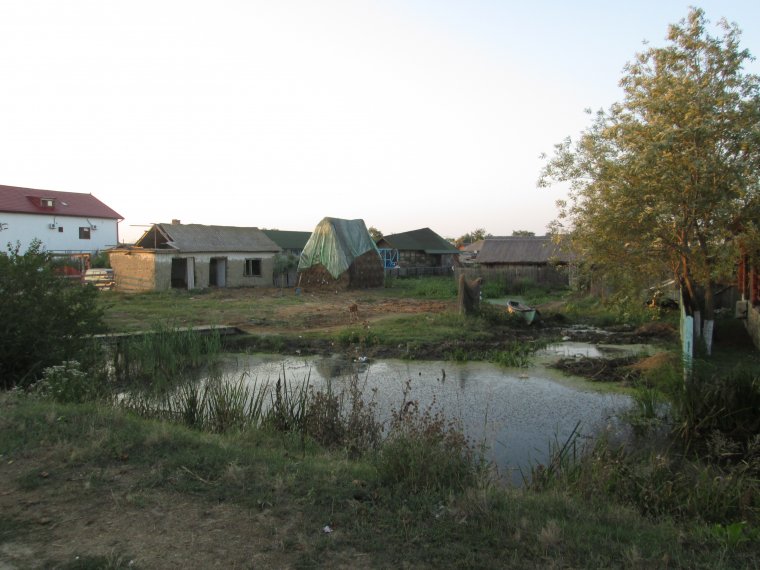 Az idei szezonban már két halálesetet okozott a nyugat-nílusi vírus Romániában