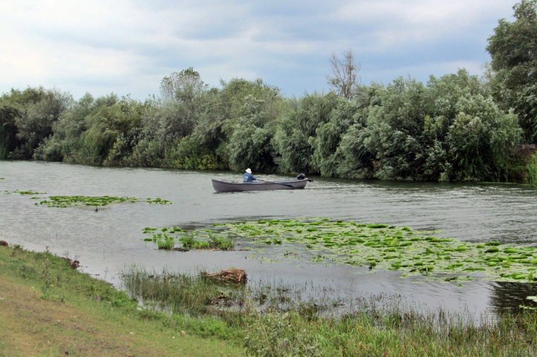 Duna-delta, a romániai szafari: szentgyörgyi benyomások