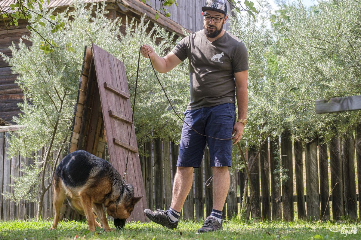 Német juhász kutyákat tenyészt és képez ki Sebestyén Hunor. •  Fotó: Veres Nándor