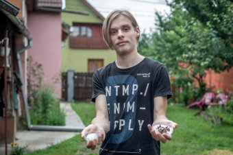 Műanyagzabáló molyok és kukacok: díjazott projekt a nyárikonyhából