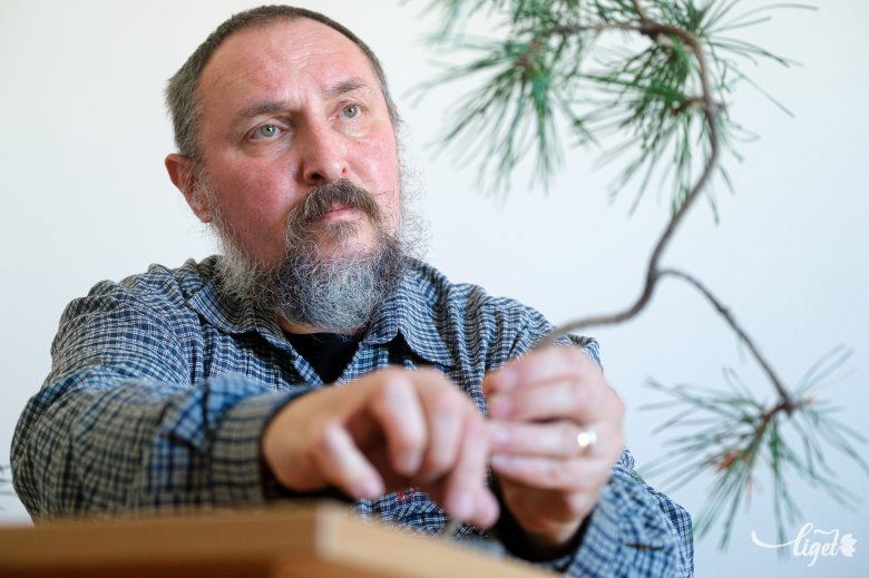 Egy meditatív jellegű művészet •  Fotó: Veres Nándor