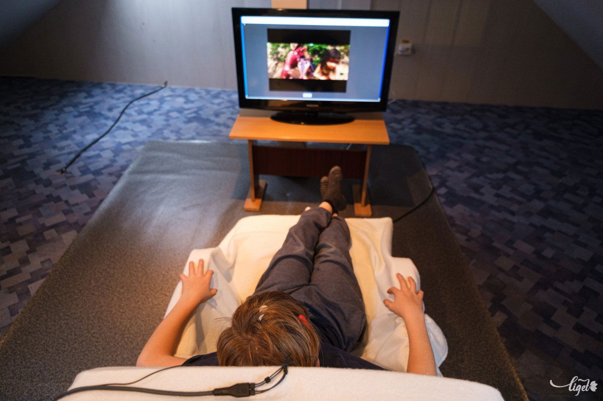 A neurofeedback az agyi aktivitás átalakítását, optimalizálását célozza meg •  Fotó: Veres Nándor