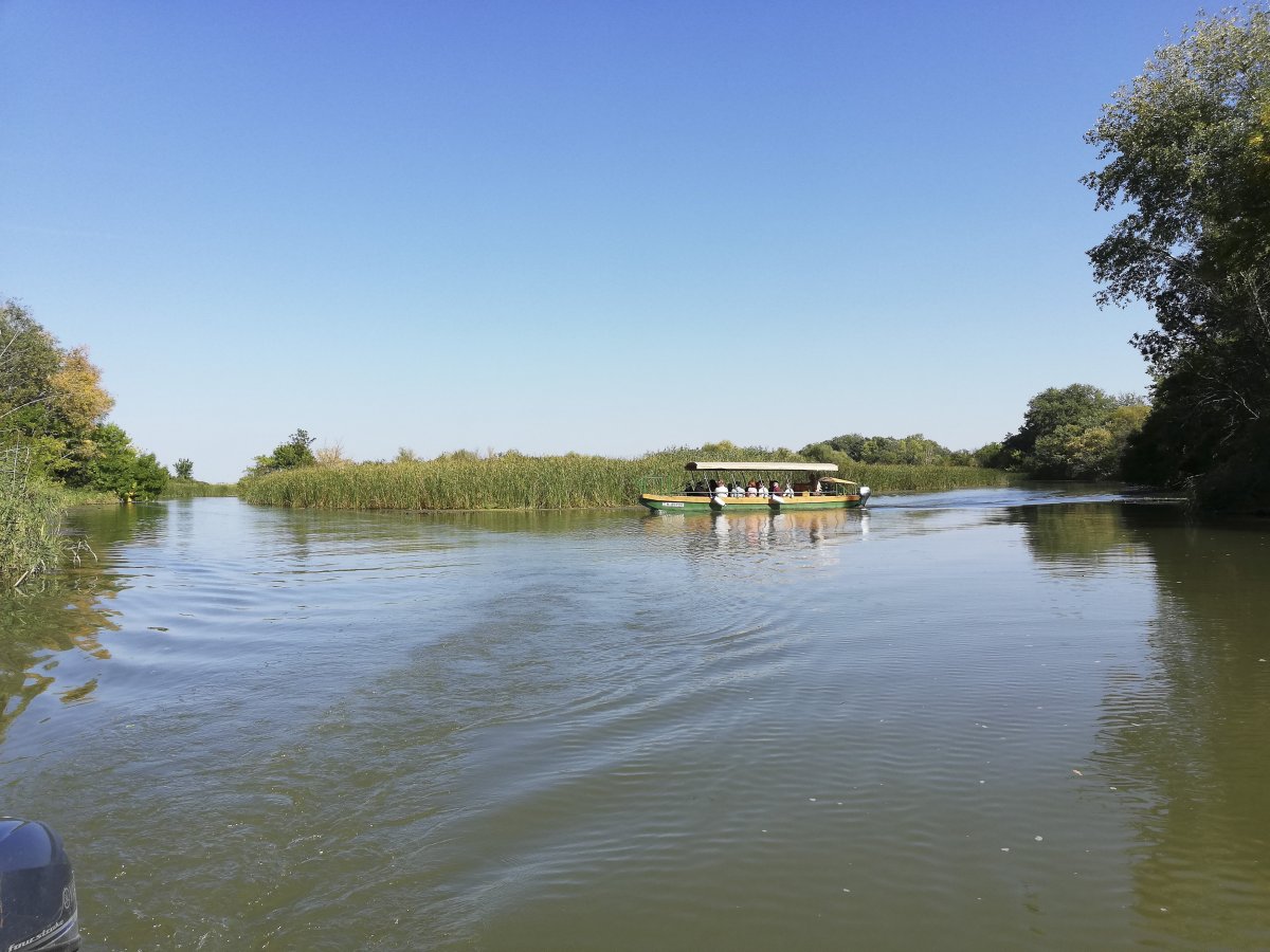 Szervezett kirándulással vagy akár önállóan is bejárható a Tisza-tó •  Fotó: D. Balázs Ildikó