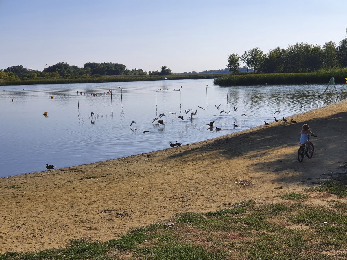 Szabadstrand a Tisza-tavon •  Fotó: D. Balázs Ildikó