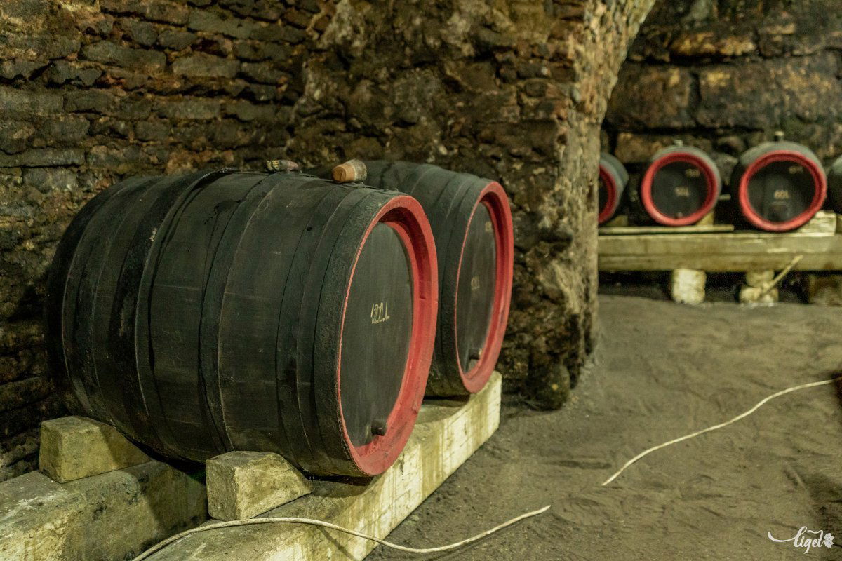 A püspöki palota alatt található egyik pince •  Fotó: Pinti Attila