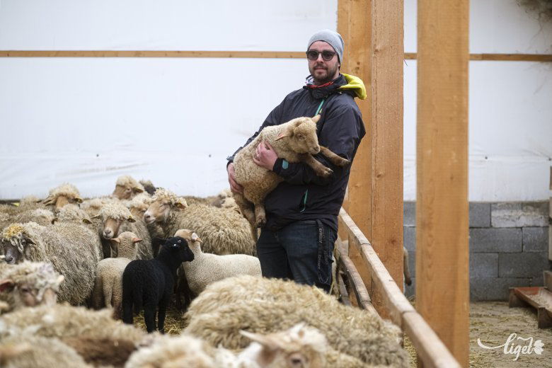 Az apai örökséggel indult minden •  Fotó: Veres Nándor