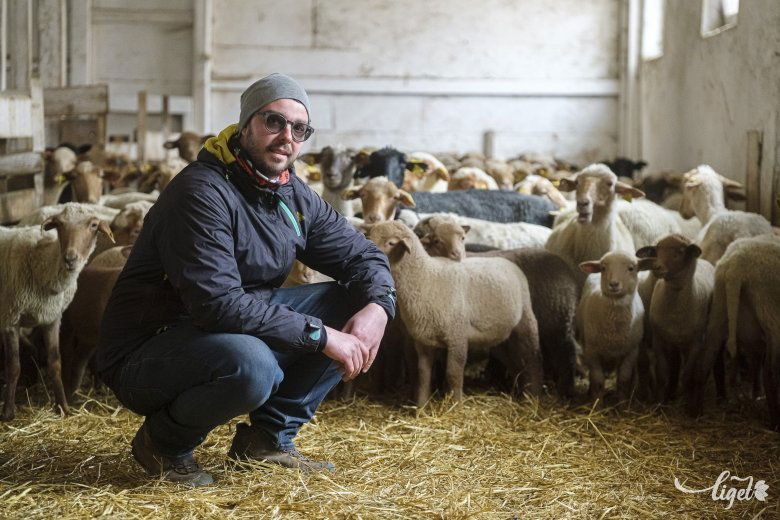 Imre Tamás életet vitt a néhai lepusztult istálló falai közé •  Fotó: Veres Nándor
