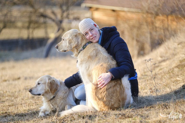 Dió és Mogyoró, a két golden retriever •  Fotó: Veres Nándor