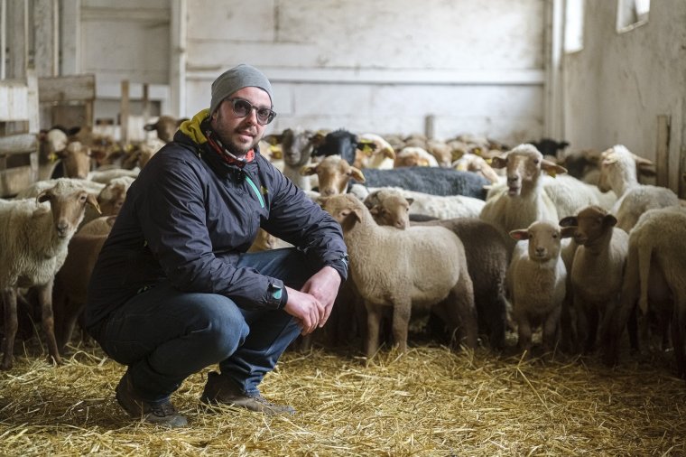 Gazdálkodásra cserélt hokibot: Imre Tamás