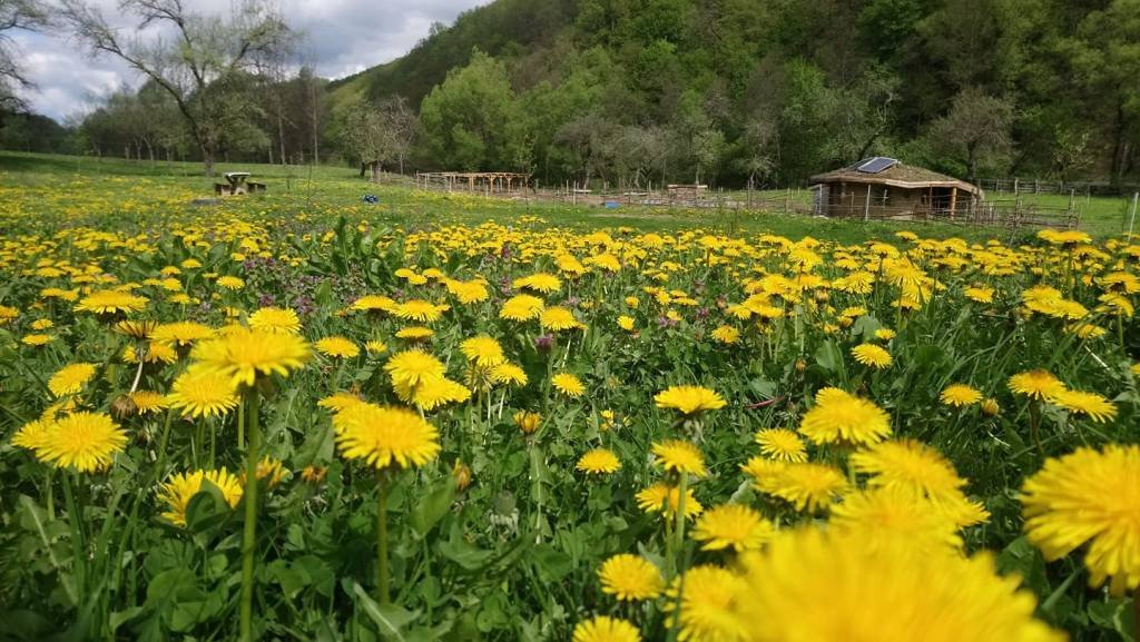 Önellátó, természetbarát életformát próbálnak fenntartani •  Fotó: Forrás: Colibaverde.ro