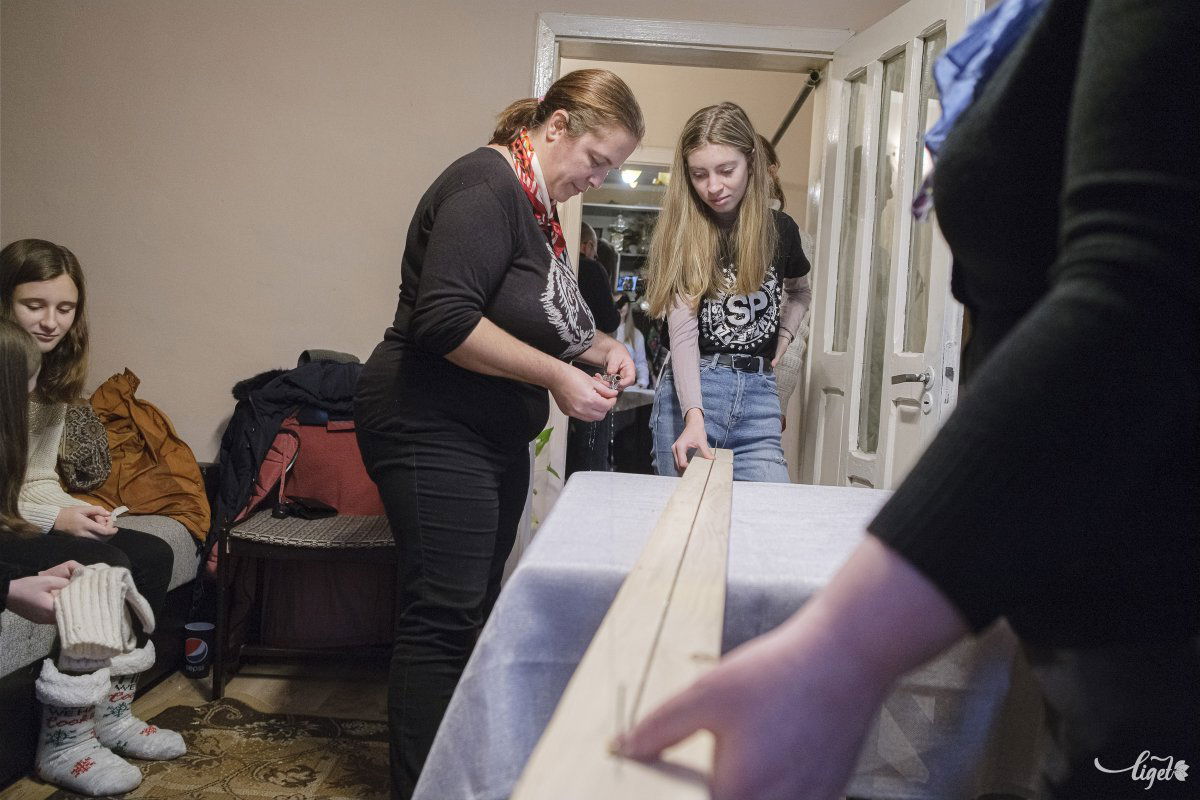 A csírszálakat a deszka két végébe ütött szegek közé feszítik ki •  Fotó: Veres Nándor