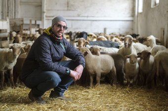 Gazdálkodásra cserélt hokibot: Imre Tamás