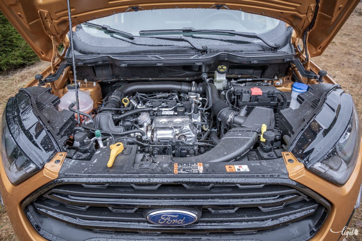 Kicsi, de erős, kiemelkedő rezgéscsillapítással az egyliteres EcoBoost-motor •  Fotó: Pinti Attila