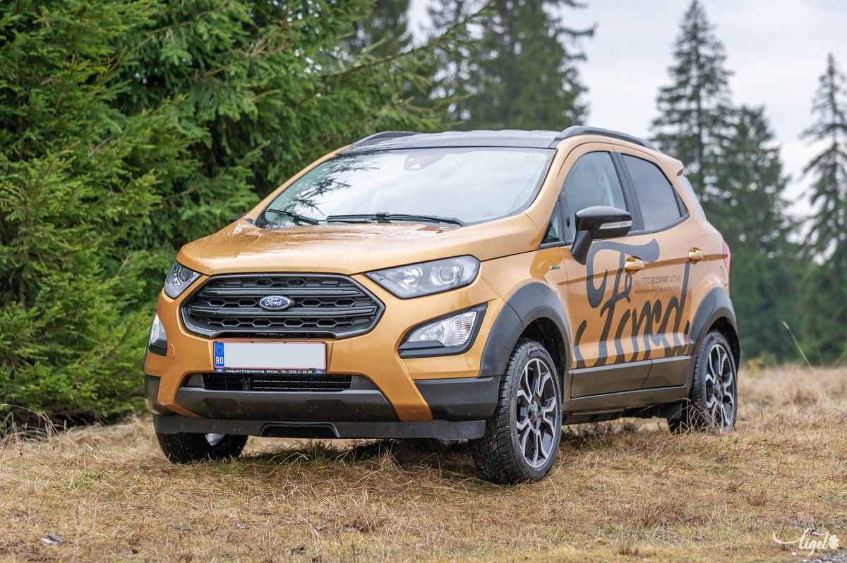 Az EcoSportot markáns műanyag elemei és újrarajzolt szögletes vonalai teszik vonzóvá •  Fotó: Pinti Attila