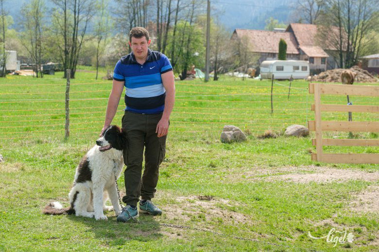 A kutyatartás egy másik hobbi. Bagira, a bukovinai juhászkutya •  Fotó: Veres Nándor