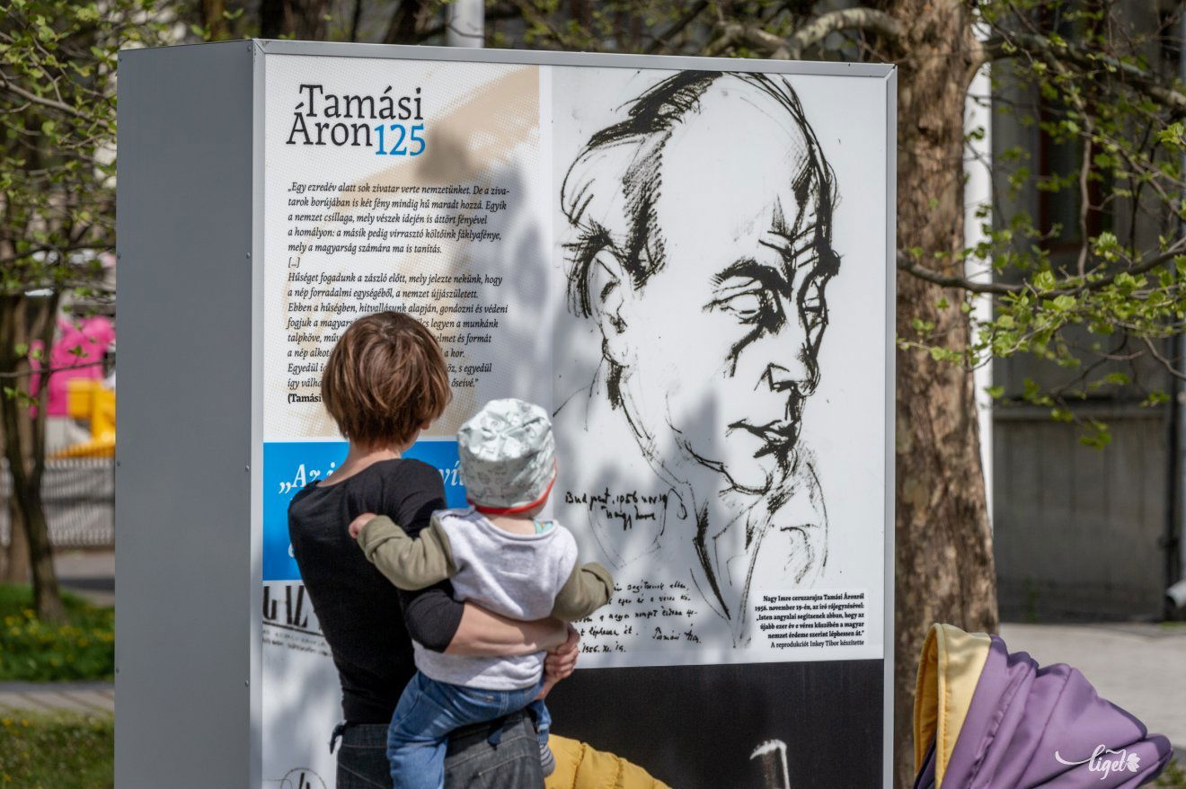 Át kell adnunk az örökséget a fiatal generációknak is •  Fotó: Pinti Attila