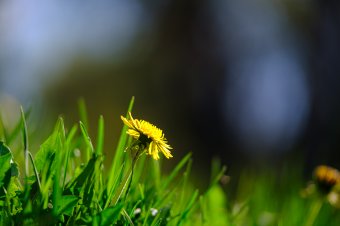 Jön a tavaszias, változékony időjárás, az igazi felmelegedés azonban várat még magára