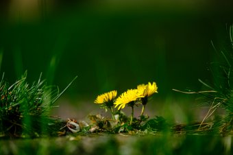 Nyárias idő várható az ortodox nagyhéten és húsvétkor