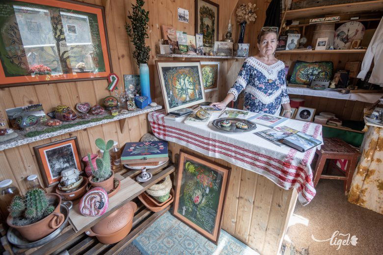 Családfák, emlékek, múlt és jelen •  Fotó: Pinti Attila