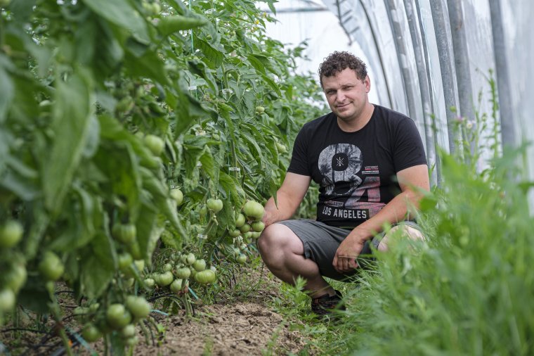 Hülyének nézték, mert fokhagymát akar termeszteni: nem adja fel Karda Alpár