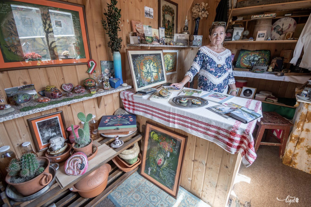 Családfák, emlékek, múlt és jelen •  Fotó: Pinti Attila