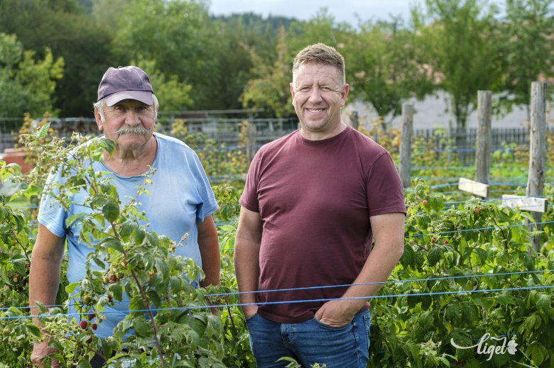 Apa és fia a Málnaligetben •  Fotó: Veres Nándor
