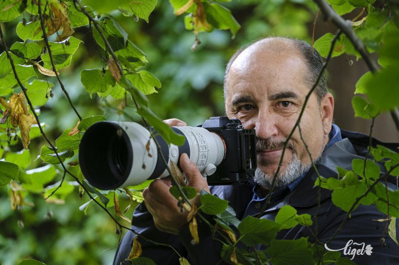 Potozky László számára a fotózás egyet jelent az élővilág szeretetével •  Fotó: Veres Nándor