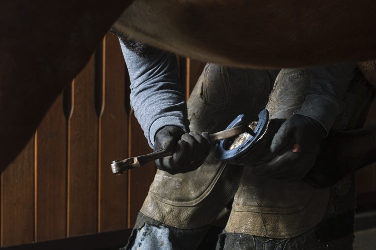 Mesterségek, amiket elsodort az idő – könyvbe, filmbe foglalva élnek túl