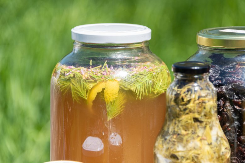 Fermentált üdítő: lucfenyő és orgona •  Fotó: Mag Ede