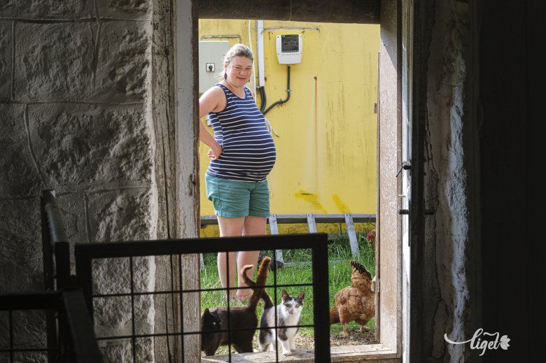 Macskák, tyúkok közül került be a „ditrói pékek” közé a családanya •  Fotó: Veres Nándor