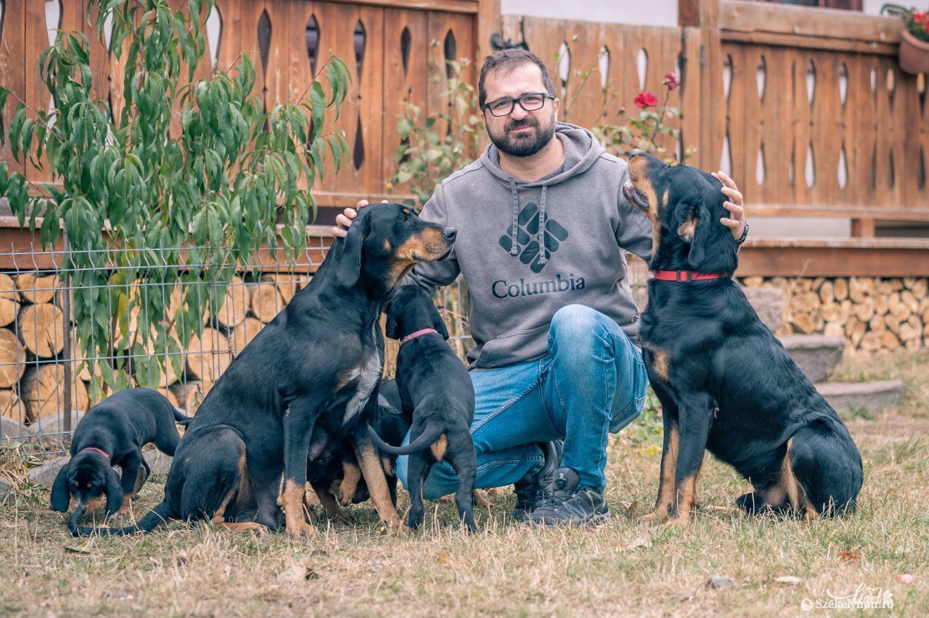 Csíkpálfalván gazdákra vár a Dió-Tirkó család néhány csillogó szőrű tagja •  Fotó: Pinti Attila