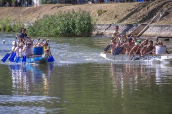 Színészek és közönség közös sporteseményére várja az érdeklődőket a temesvári színház