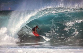 Cápatámadás áldozata lett A Karib-tenger kalózainak színésze (VIDEÓ)